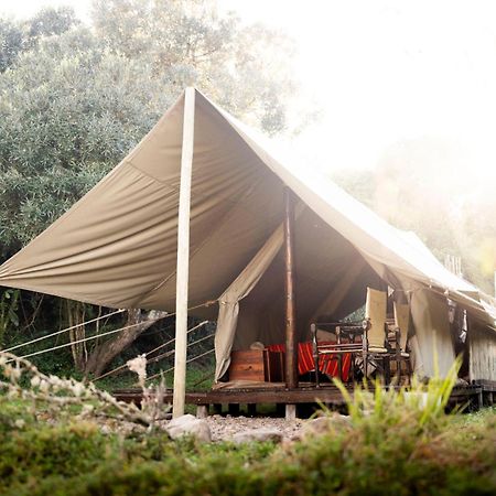 Quatermain'S 1920'S Safari Camp - Amakhala Game Reserve Zewnętrze zdjęcie