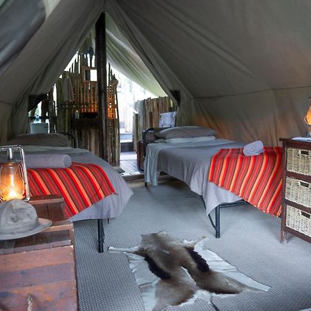 Quatermain'S 1920'S Safari Camp - Amakhala Game Reserve Zewnętrze zdjęcie