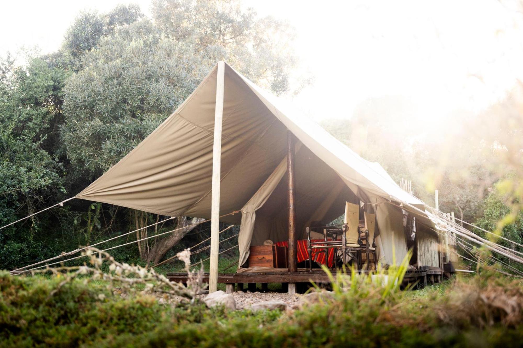 Quatermain'S 1920'S Safari Camp - Amakhala Game Reserve Zewnętrze zdjęcie