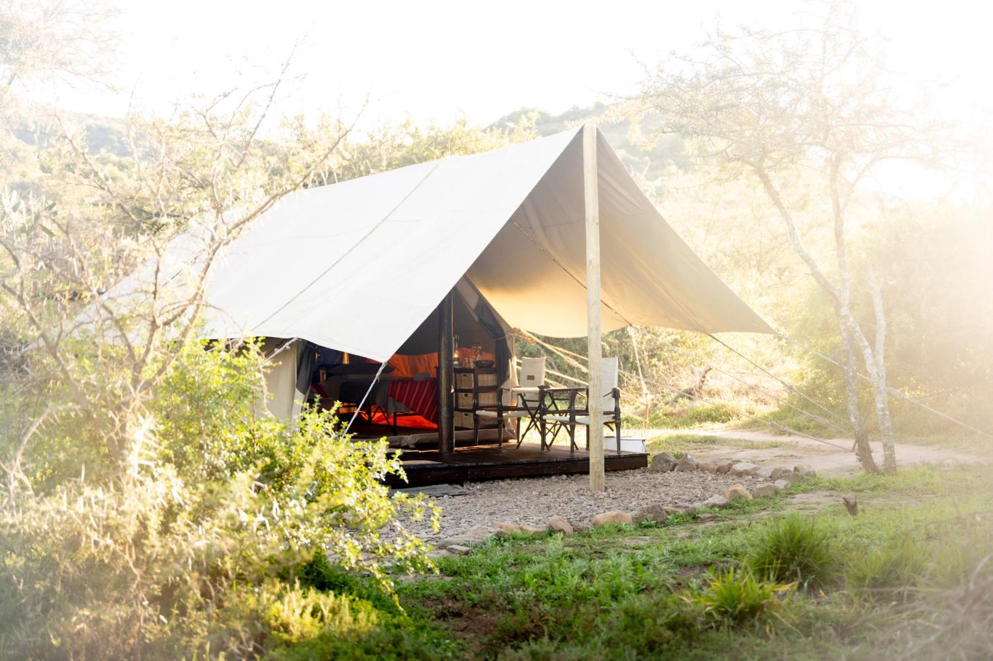 Quatermain'S 1920'S Safari Camp - Amakhala Game Reserve Zewnętrze zdjęcie