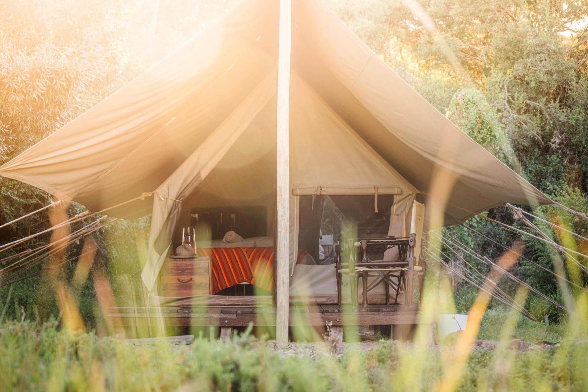 Quatermain'S 1920'S Safari Camp - Amakhala Game Reserve Zewnętrze zdjęcie