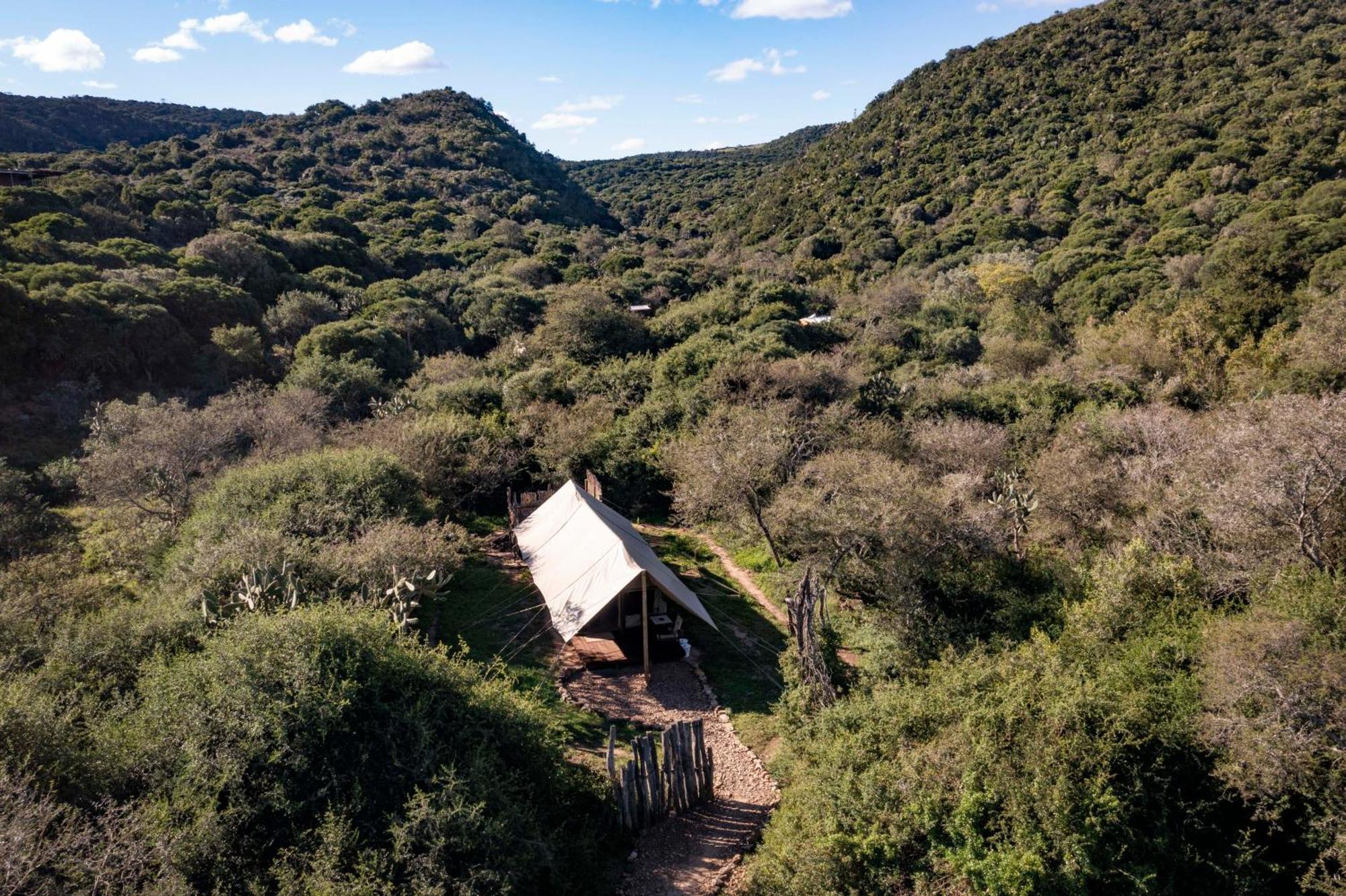 Quatermain'S 1920'S Safari Camp - Amakhala Game Reserve Zewnętrze zdjęcie